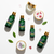 Collection Naturare fond blanc