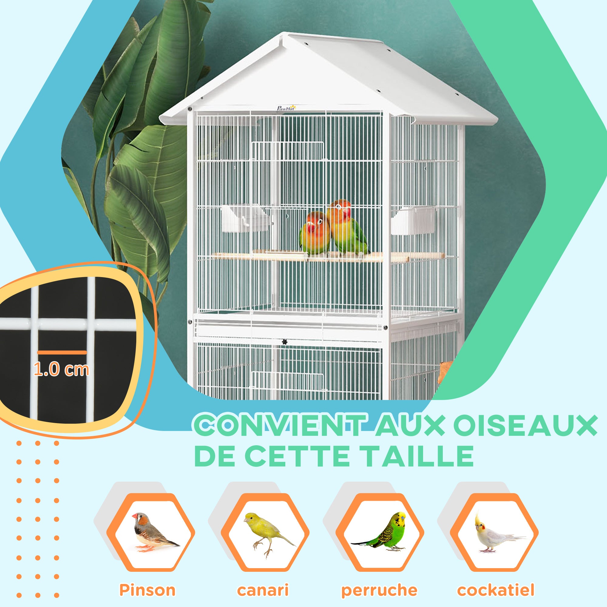 Texte alternatif de l'image