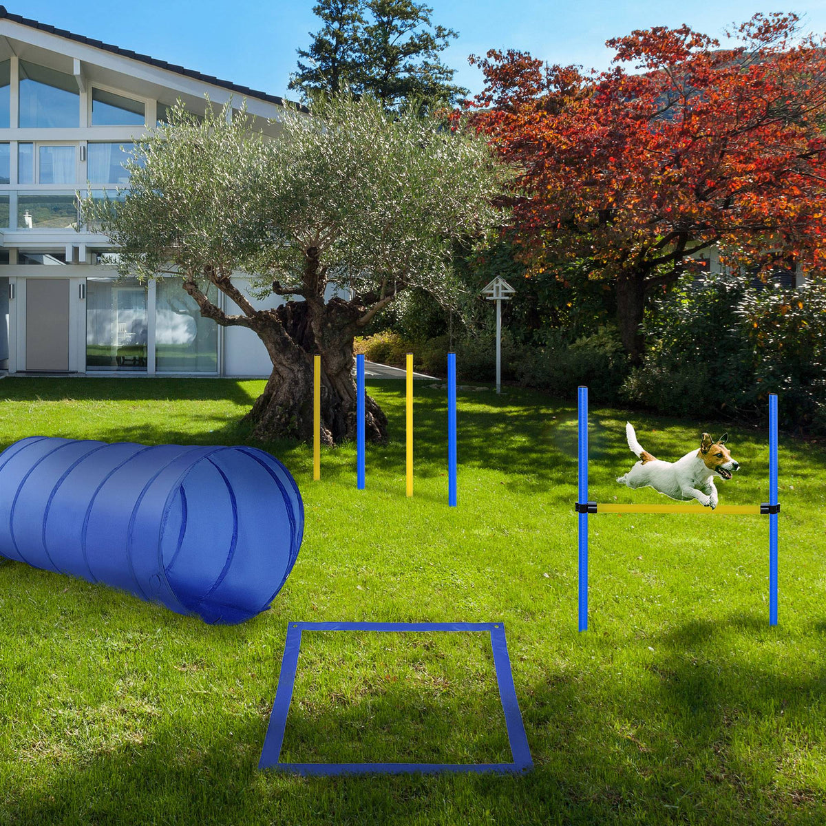Agility sport pour chiens équipement complet obstacles, tunnel, slalom, zone repos + 2 sacs de transport bleu jaune