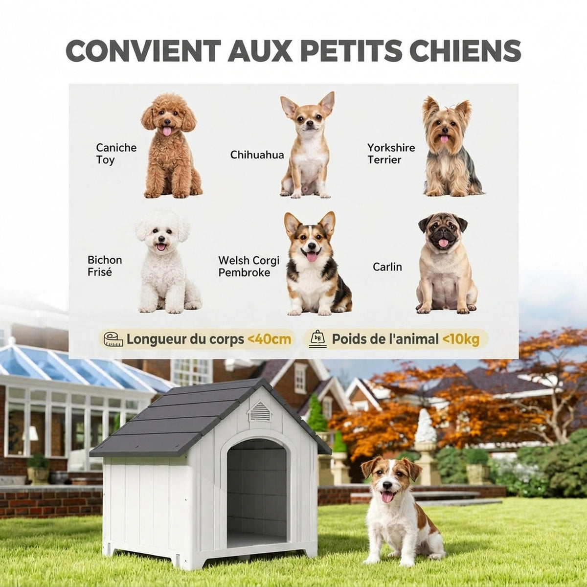 Caseta para perro de exterior, casa para perro de polipropileno impermeable ventilada con suelo elevado 66x55x65cm gris claro
