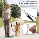 Laisse de Vélo pour Chien 180 cm en Inox , Fixation Rapide, Ressort Amortisseur, Sangle Ajustable, Argent