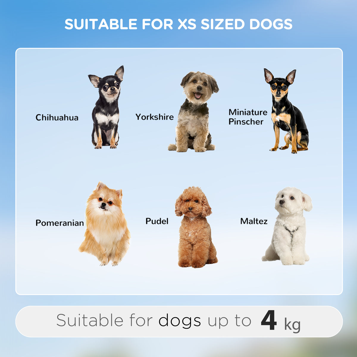 2-in-1-Hundetransporttasche mit Rollen, Trolley, Wagen und Rucksack für Hund und Katze mit Teleskopgriff, Aufbewahrungsfächern, Belüftungsöffnungen und Sicherheitsgurt, 42 x 25 x 55 cm, blau
