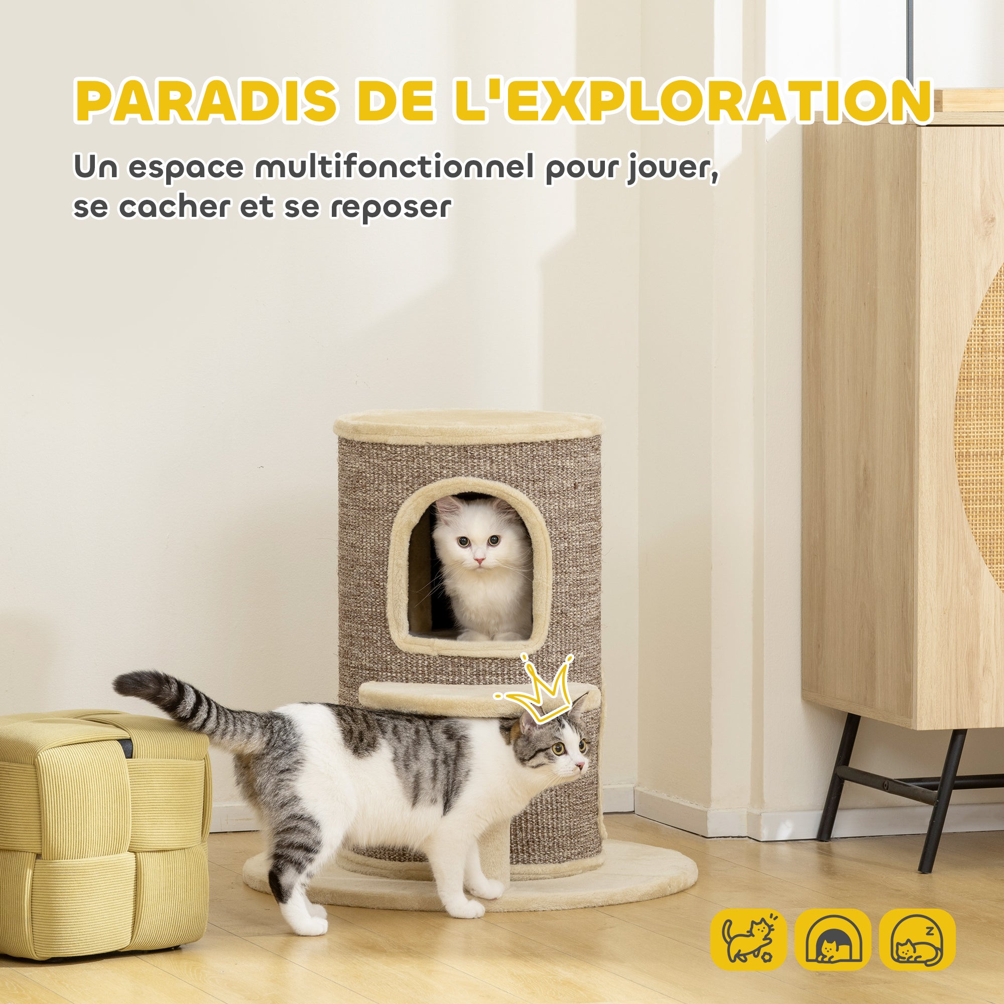 Texte alternatif de l'image