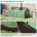 Serre de jardin mini serre 2 fenêtres enroulables couverture en PE haute densité 140 g/m² 120 x 60 x 60 cm vert foncé