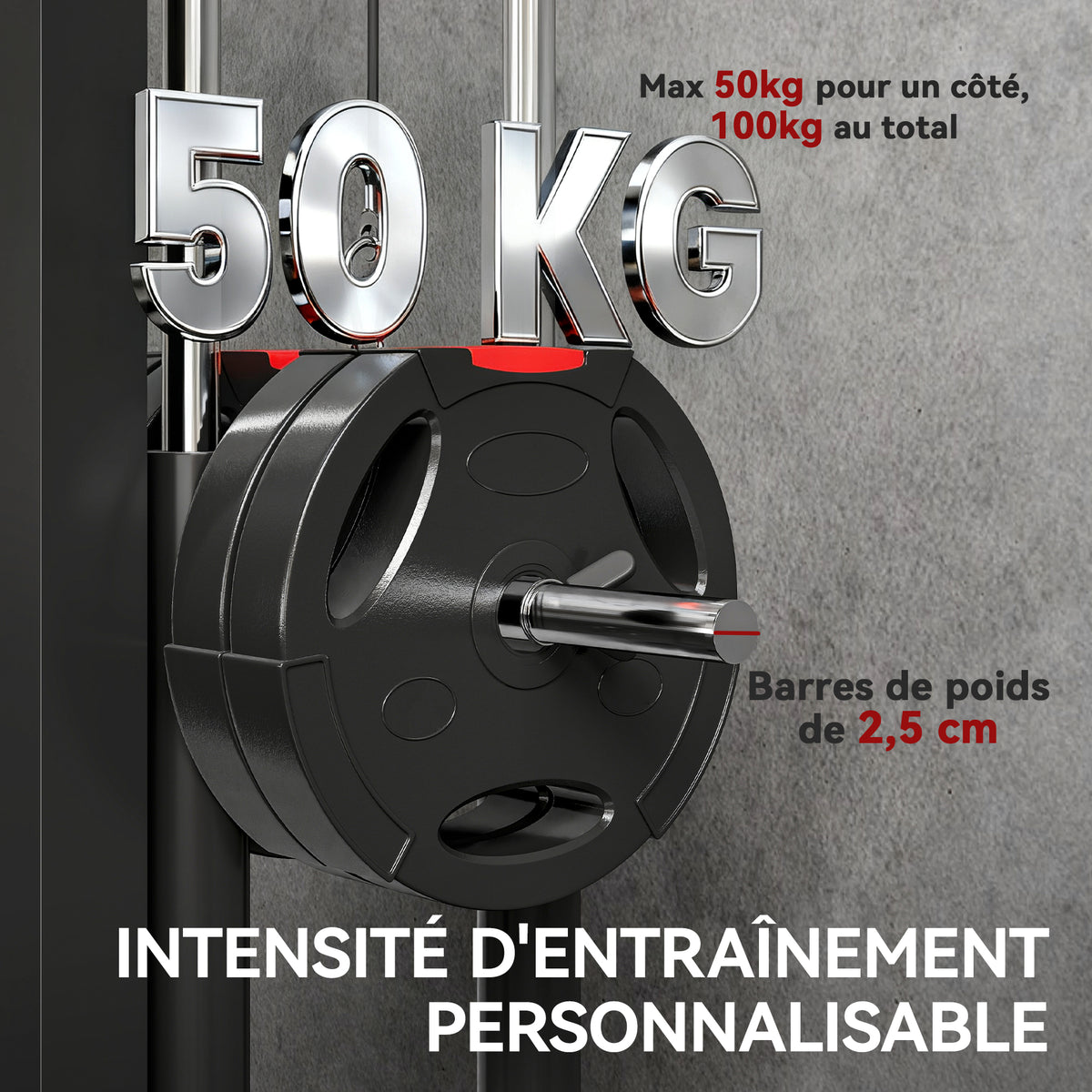 Appareil de musculation mural, station de traction, poulie haute et basse, 2 poulies, en acier, 75 x 16 x 192 cm, noir