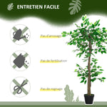 Arbre Artificiel Plante Artificiel ficus Hauteur 1,2 m Tronc Branches Liane Lichen Feuilles Grand réalisme Pot