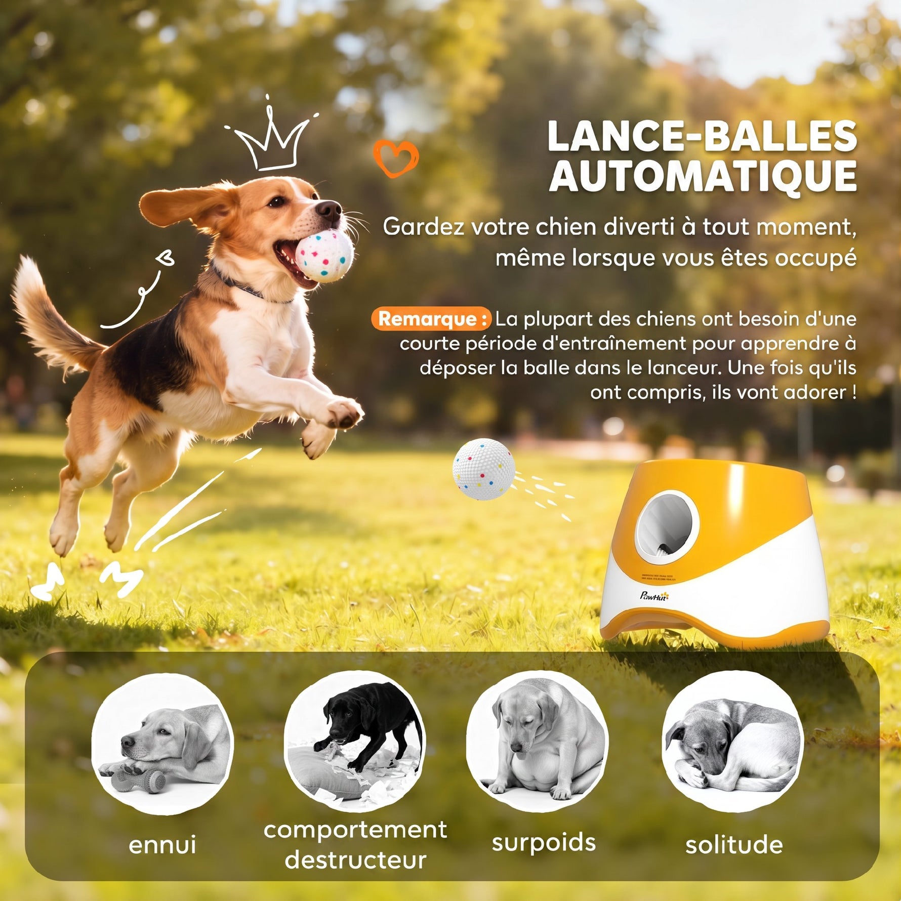 Lanceur de Balles Automatique avec 3 Balles en ETPU, 3 Réglages de Distance 6m/10m/14m, Intérieur et Extérieur, Orange