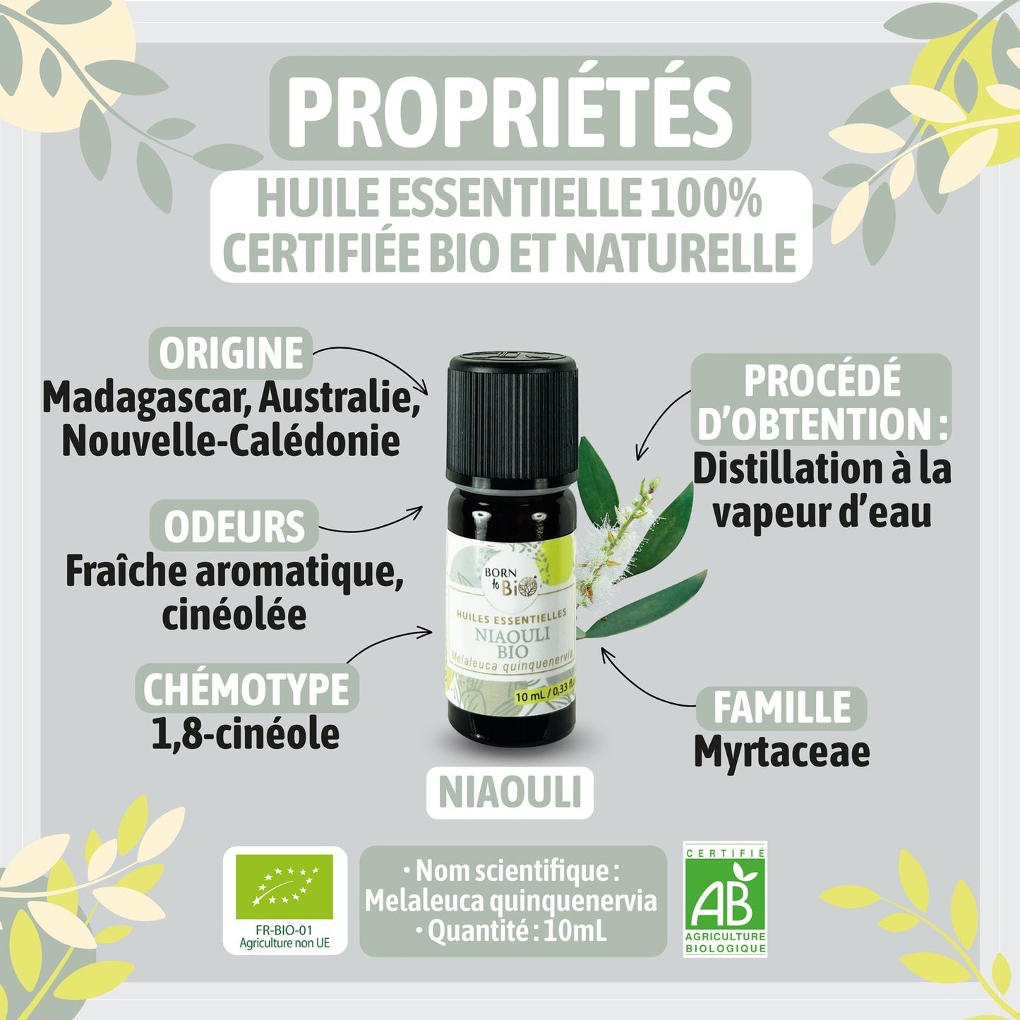 Huile essentielle Niaouli Certifiée Bio