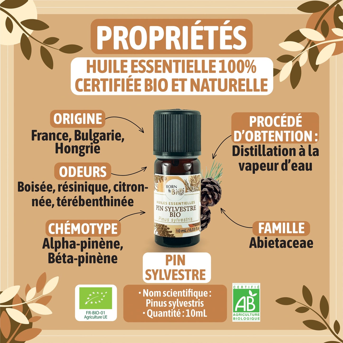 Huile essentielle Pin sylvestre Certifiée Bio-1