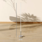 Lampadaire LED, lampadaire sur pied salon à intensité variable, télécommande, interrupteur à pied, Ø20x150cm, argent