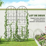 Lot de 2 Supports pour Plantes Grimpantes, Treillis de Jardin, pour Légumes, Vignes, Fleurs, en Métal, 50 x 180 cm, Noir