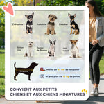 Cochecito plegable para perros y mascotas, 4 ruedas de EVA, manillar ajustable, cesta, 76,5 x 52 x 95 cm
