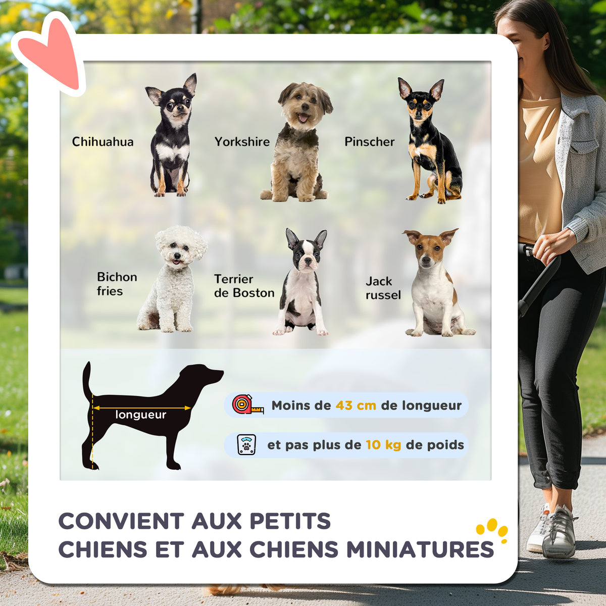 Cochecito plegable para perros y mascotas, 4 ruedas de EVA, manillar ajustable, cesta, 76,5 x 52 x 95 cm