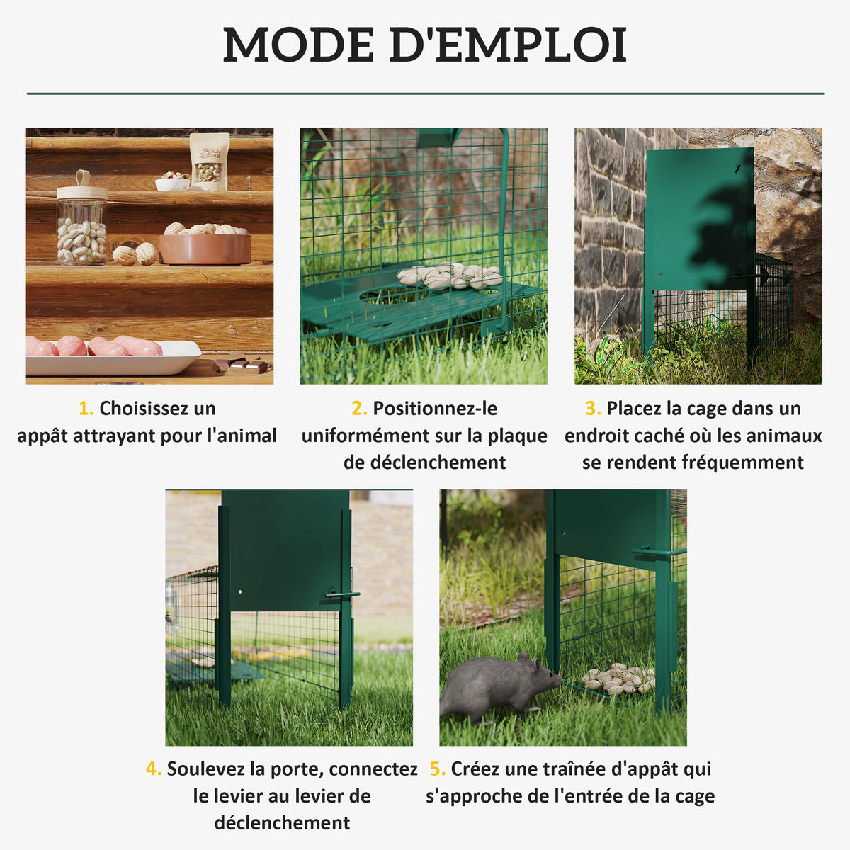 Cage attrape animaux nuisibles 1 entrée dim. 100L x 25l x 28H cm vert foncé