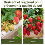 Toiles de Paillage - Toile anti Mauvaises Herbes - Toile de Paillage anti Mauvaises Herbes 100 g/m² - Indéchirable Perméable à l'Eau anti UV dm. 50L x 1l m- PP Noir Vert