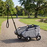 Poussette pour chien poussette petit chien pliable à 4 roues avec tige de poussée réglable 53 x 45 x 28 cm gris