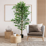 Plante artificielle ficus hauteur 1,80 m tronc branches liane lichen feuilles grand réalisme pot inclus vert
