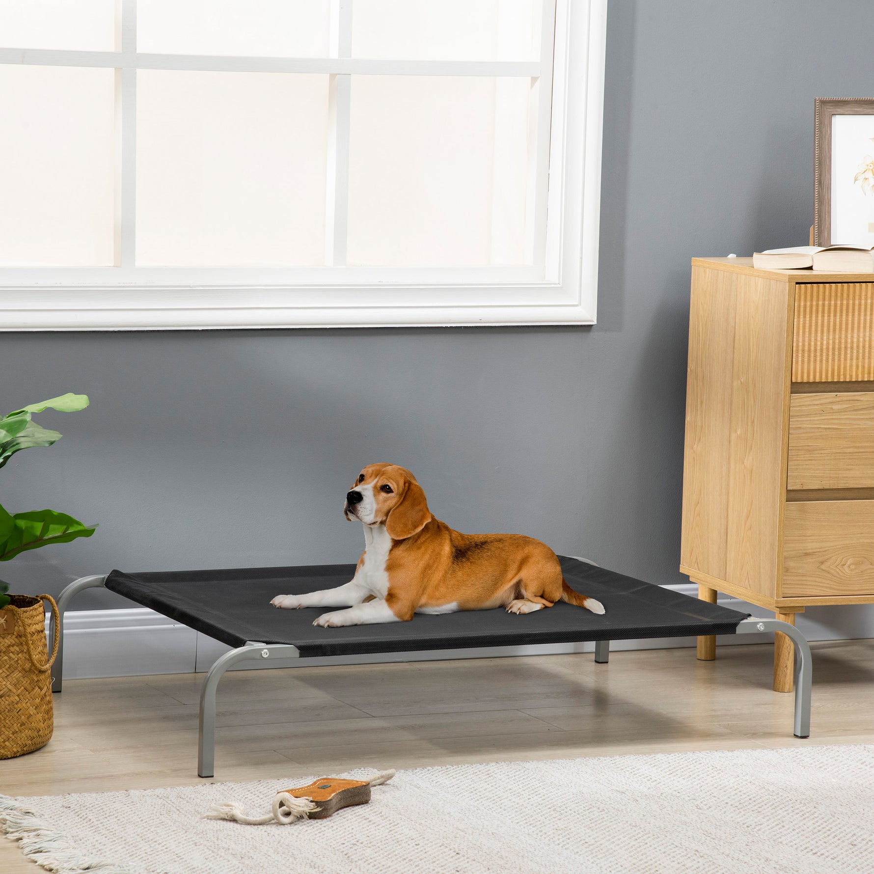 Lit pour chien chat XL grand confort sur pieds lit de camp 110 x 75 x 20 cm textilène micro-perforé noir