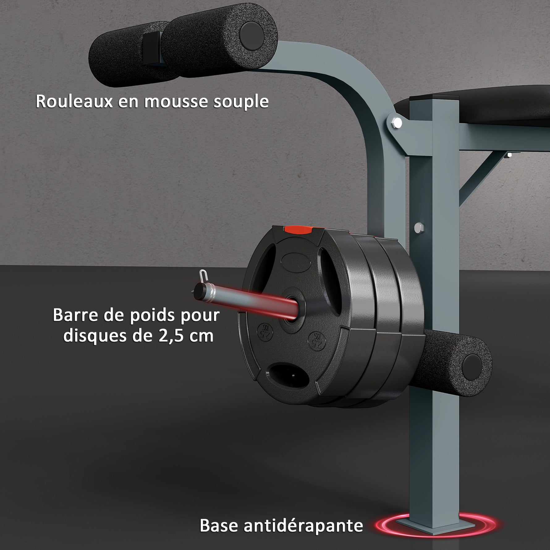 Banc de musculation Fitness banc d'haltérophilie entrainement complet dossier réglable curler