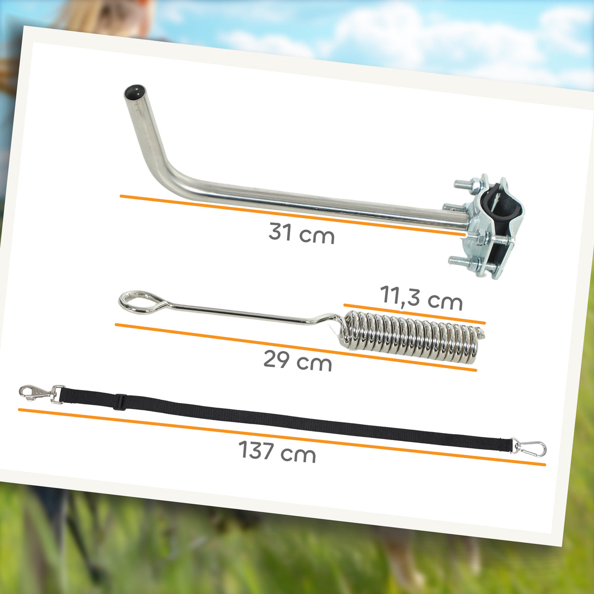 Laisse de Vélo pour Chien 180 cm en Inox , Fixation Rapide, Ressort Amortisseur, Sangle Ajustable, Argent