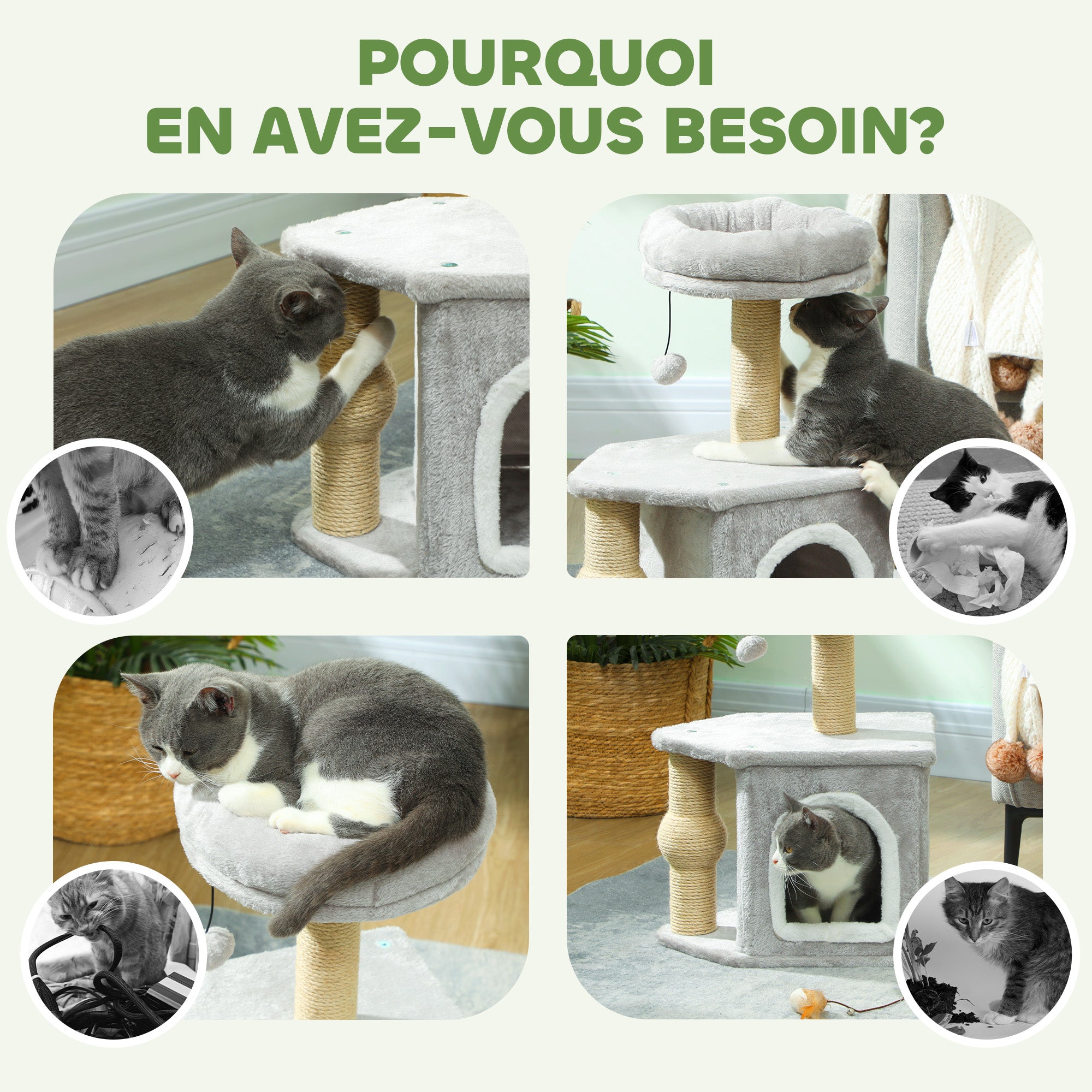 Texte alternatif de l'image