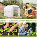 Serre de Jardin Tunnel Surface Sol 5 m² 2,5L x 2l x 2H m châssis Tubulaire renforcé 18 mm 4 fenêtres Blanc