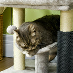 Petit arbre à chat arbre à grimper tour de jeux hauteur 48 cm poteau en sisal gris avec balle suspendue gris