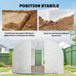 Serre tunnel de jardin 24m², serre de jardin tunnel avec cadre en acier galvanisé, portes et 2 grandes fenêtres, blanc
