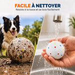 Lot de 6 Balles pour Chien en ETPU Compatibles avec Lanceur Automatique Flottantes et Rebondissantes Ø 58 mm Blanc