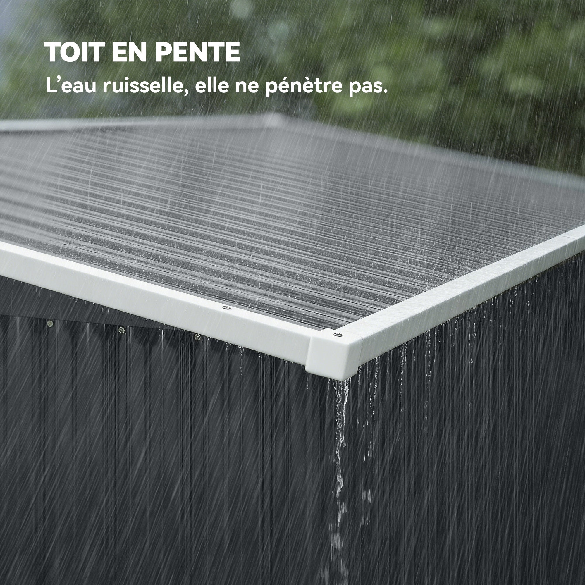 Texte alternatif de l'image