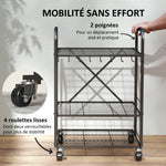 Organisateur d'outils de jardin, support à outils de jardin 40 compartiments à 2 niveaux avec roues 57 x 48 x 70 cm noir