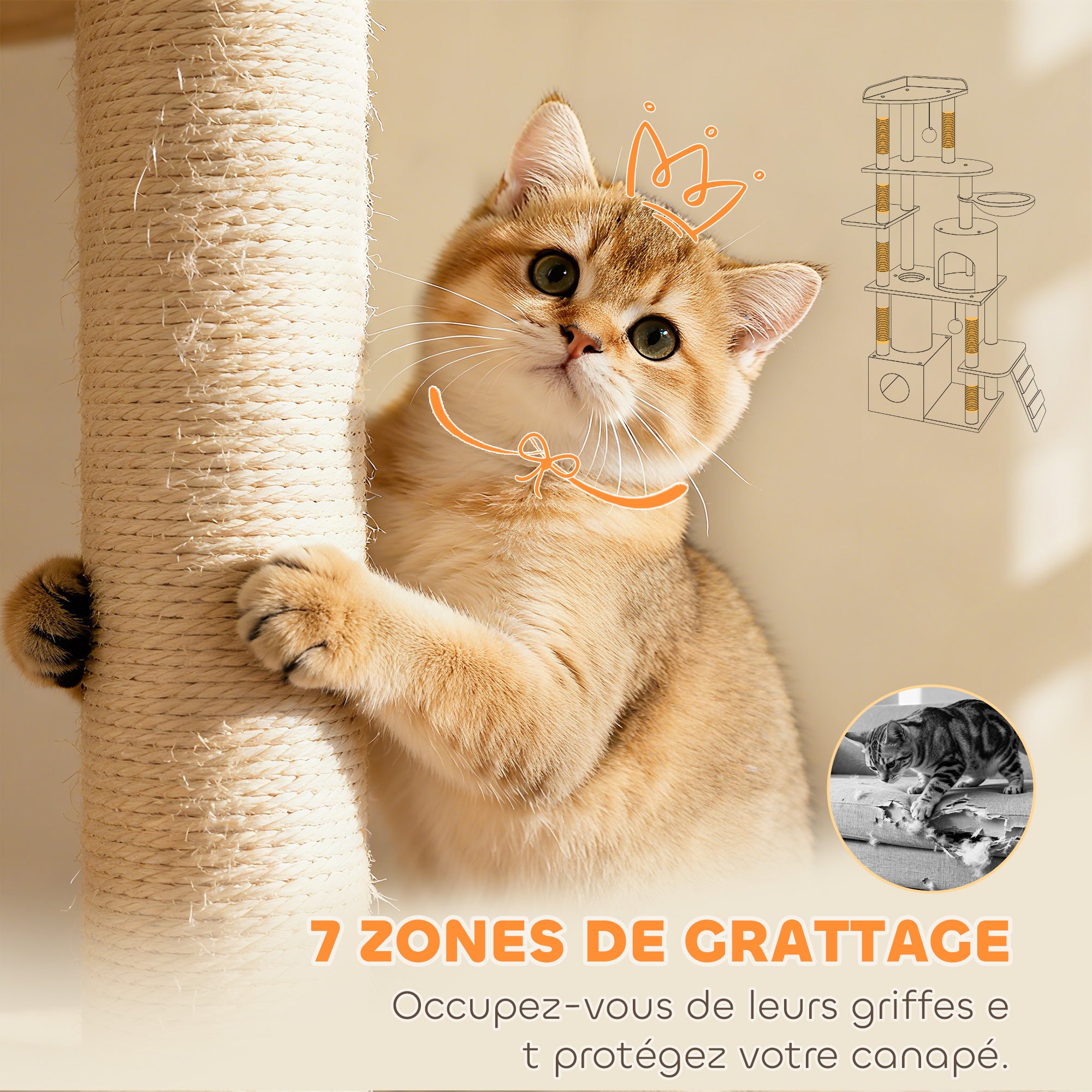 Texte alternatif de l'image