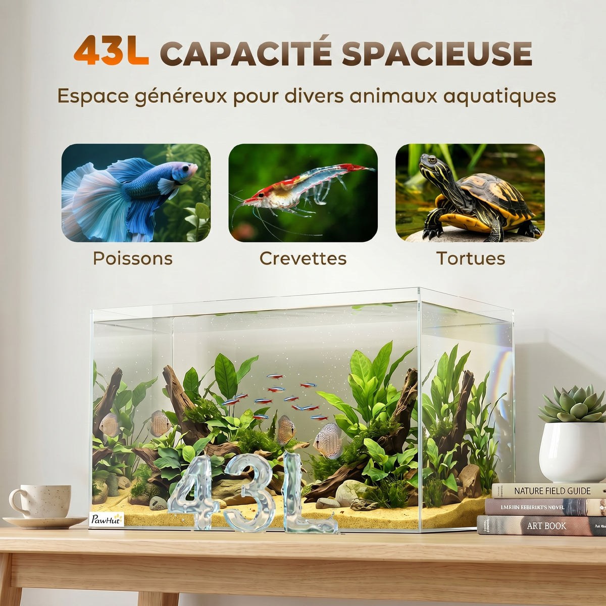 Aquarium 43L en Verre Trempé avec Tapis de Protection Pour Poissons, Crevettes, Tortues, 50 x 30 x 30 cm, Transparent