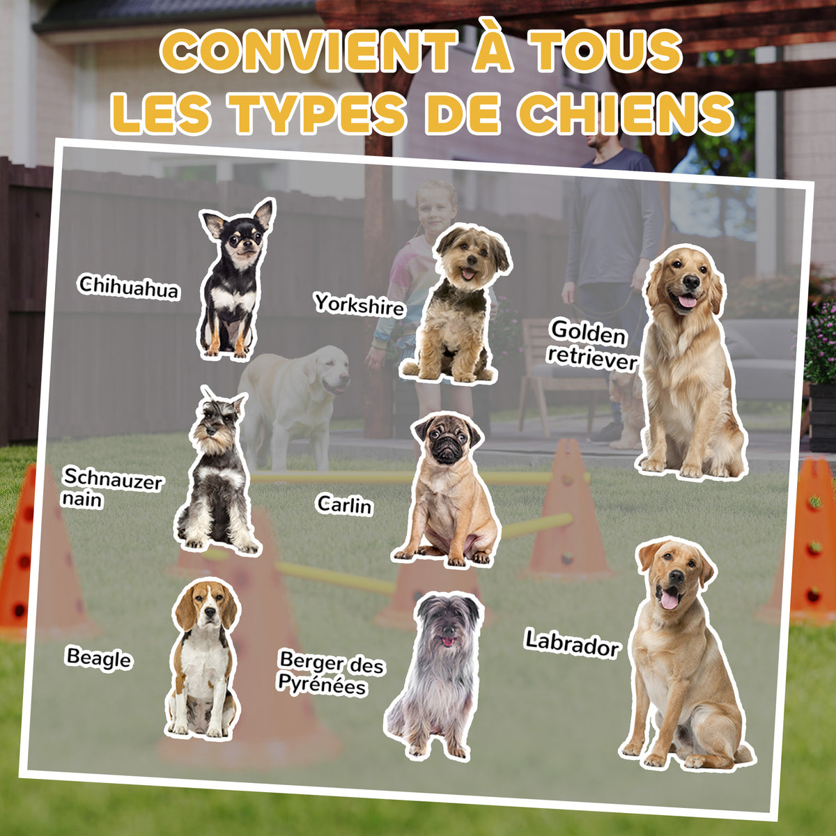 Ensemble d'Agilité pour Chien 6 Pièce, Parcours d'Obstacle hauteur réglable avec Sac de Transport, Orange