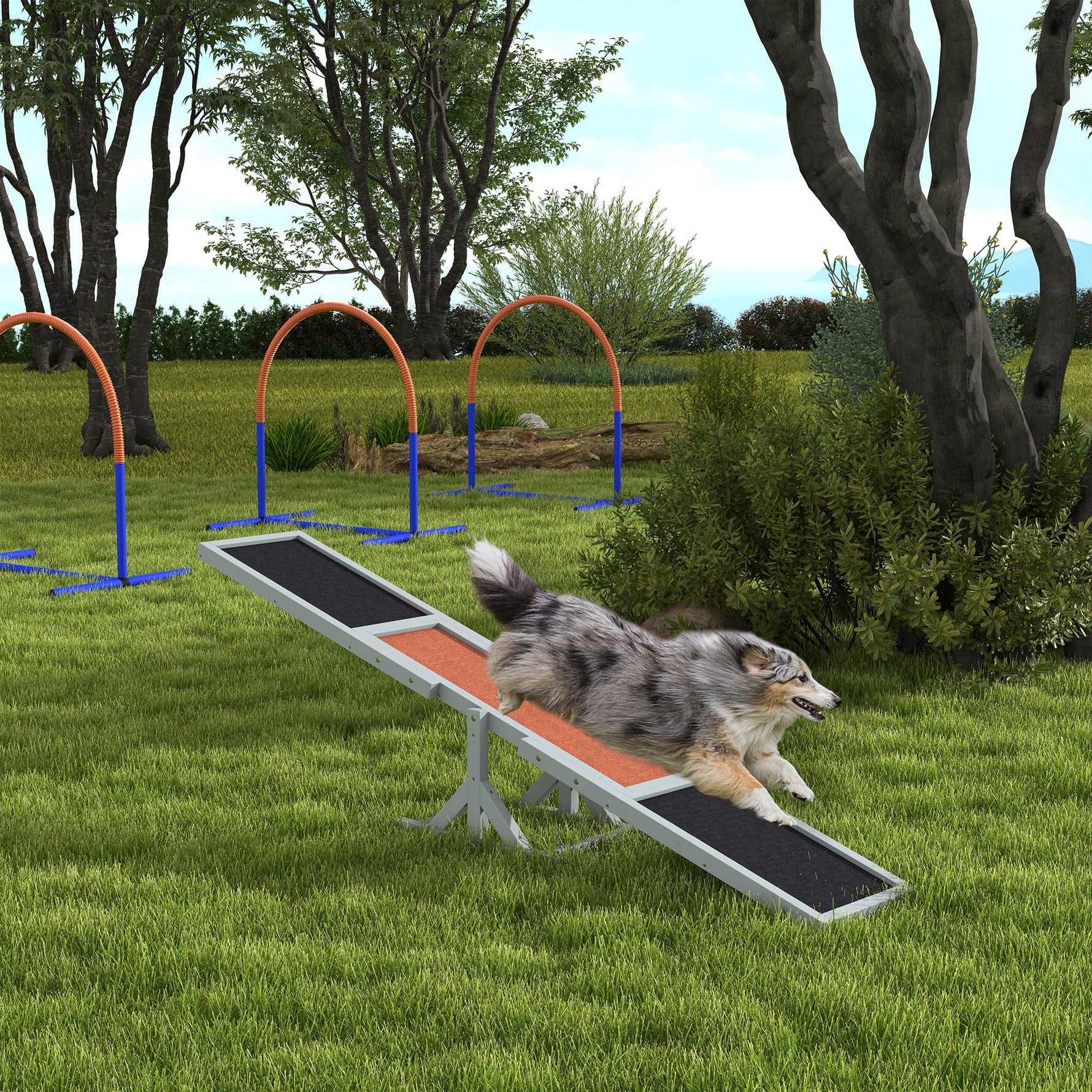 Agility sport pour chien bascule équipement entrainement chien bois sapin pré-huilé feutre bitumé antidérapant gris noir