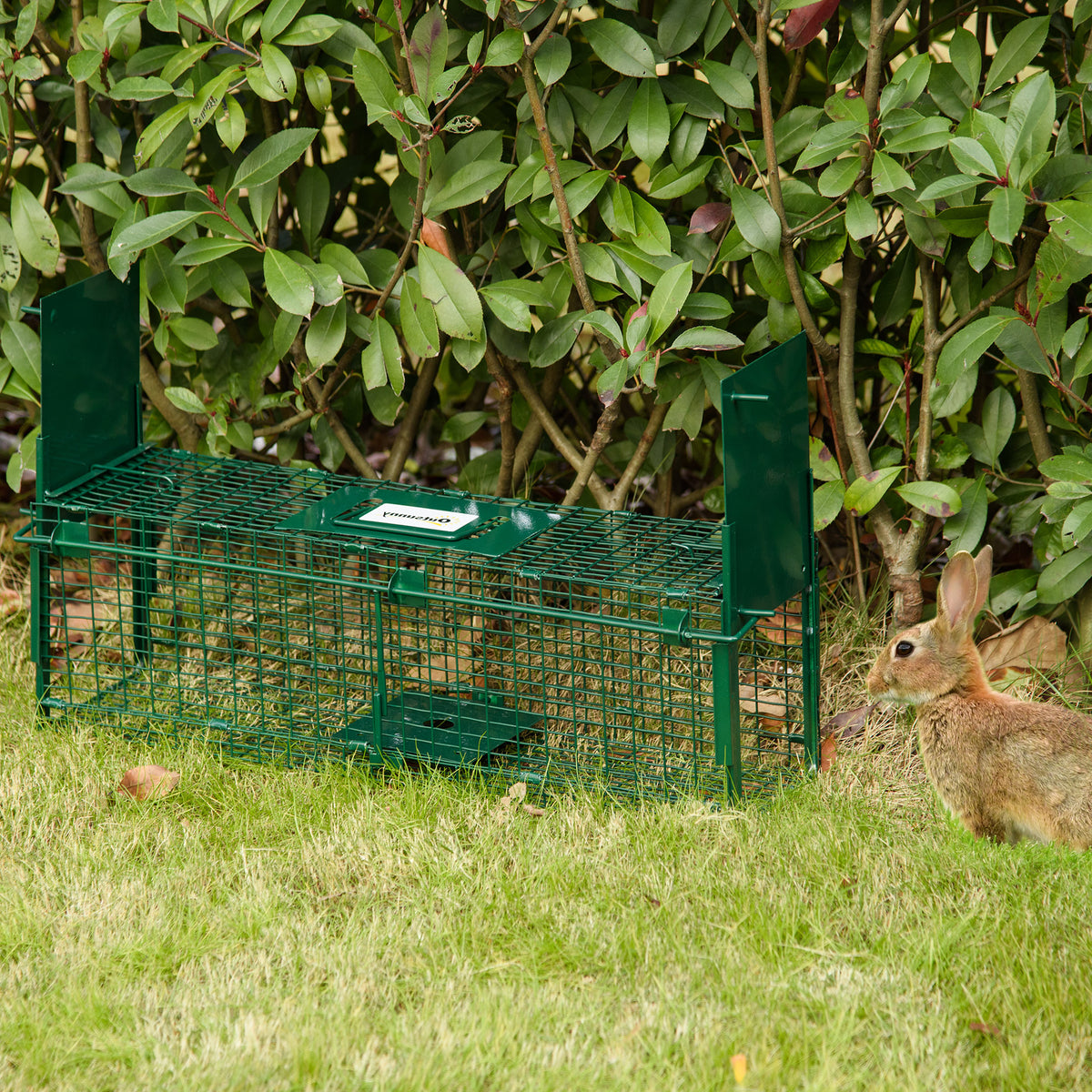 Piège Vivant Cage Attrape 60 x 18 x 20 cm Piège Fouine pour Martres, Rats, Souris - 2 entrées + poignée - métal vert
