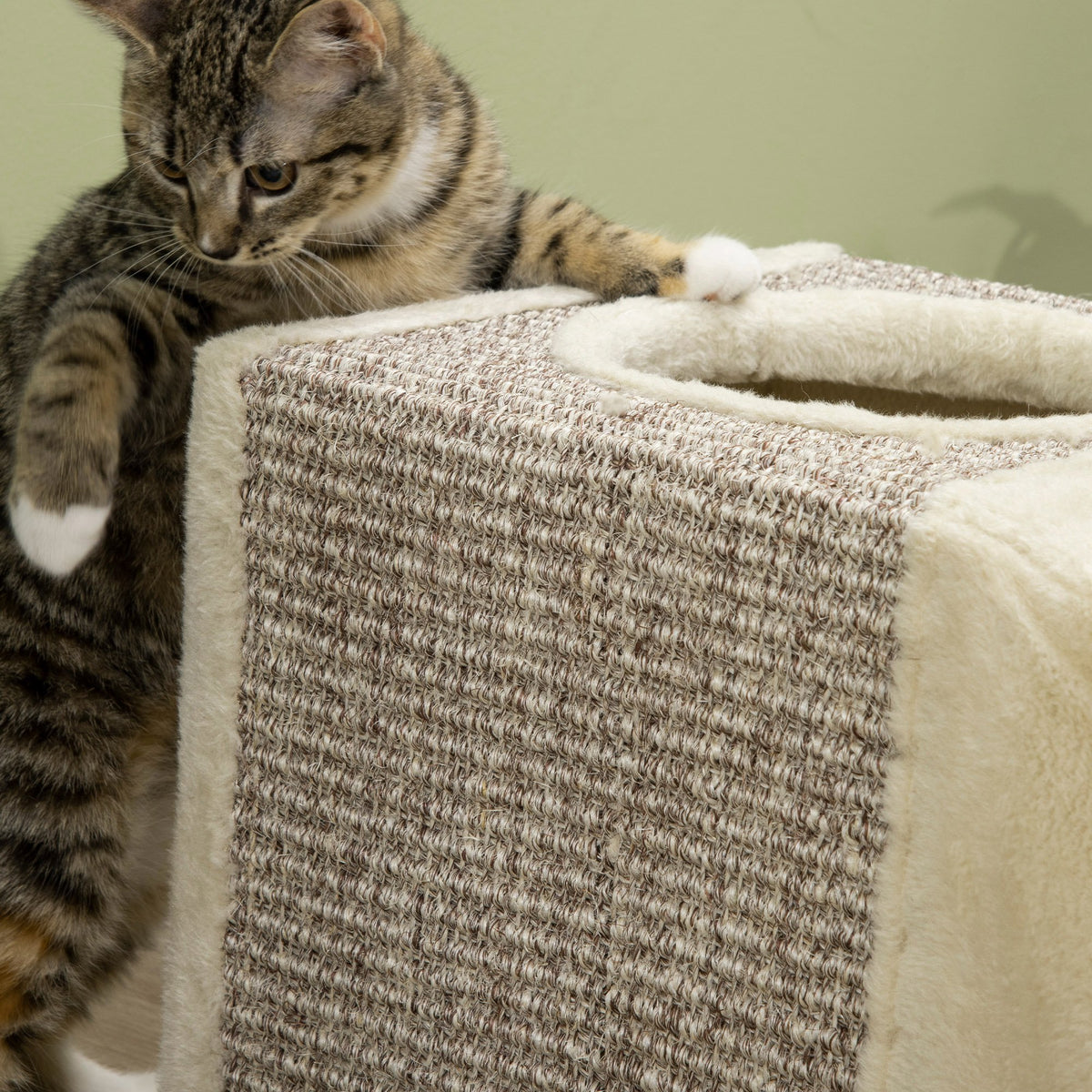 Tunnel pour chat intérieur jouets pour chats avec balle suspendue entrées multiples en sisal 98 x 30 x 30 cm crème