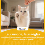 Maison de Toilette pour Chat, Tiroir Coulissant, Couvercle, 2 Portes Réglables, Pelle, Détachable, 48x38x38,5cm, Gris