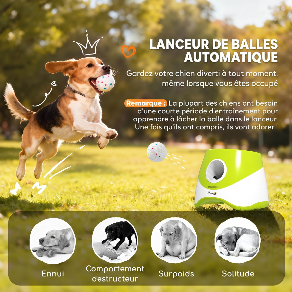 Lanceur de Balles Automatique avec 3 Balles en ETPU, 3 Réglages de Distance 6m/10m/14m, Intérieur et Extérieur, Vert
