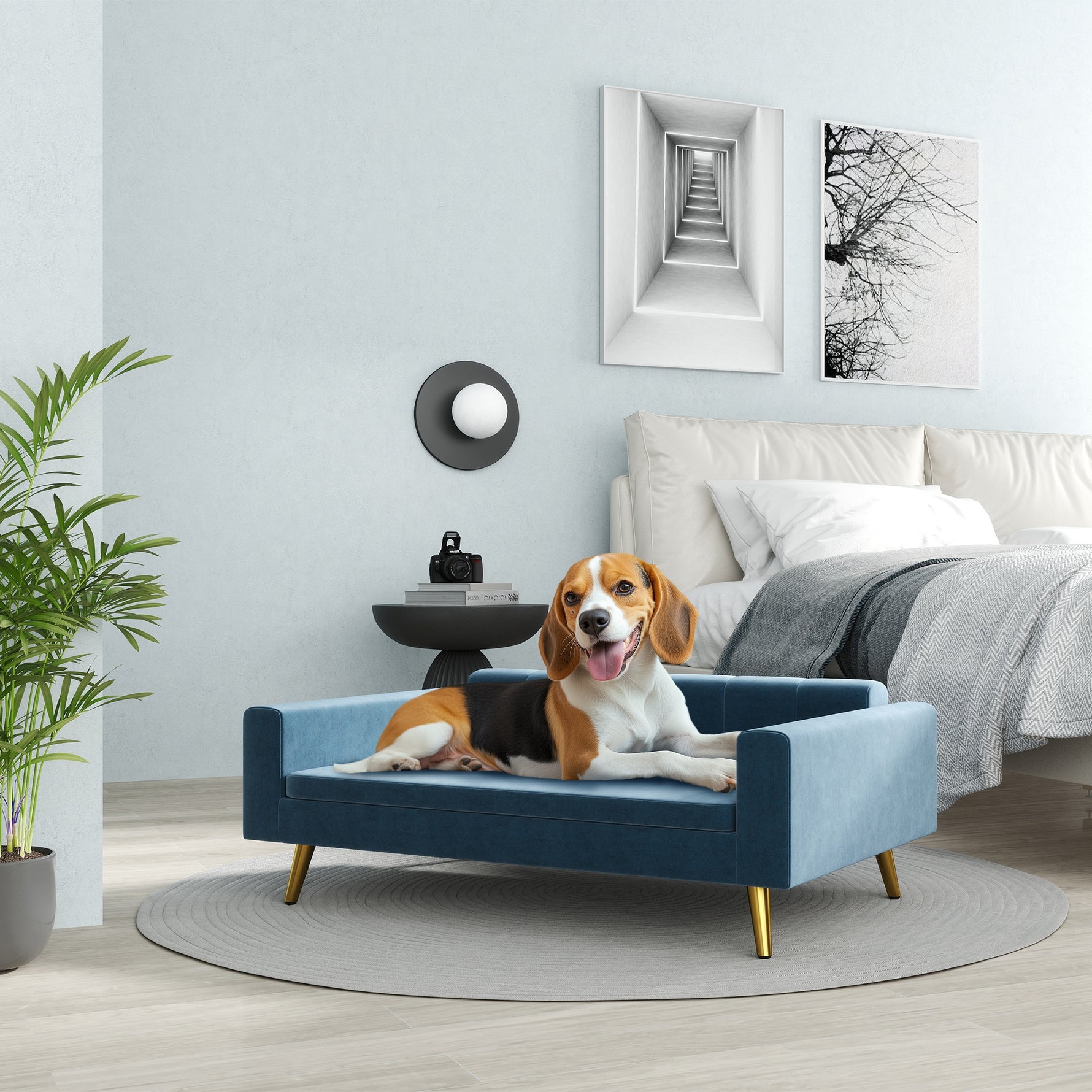 Canapé chien lit pour chien design scandinave coussin moelleux pieds métal doré 94 x 59,5 x 31,5 cm velours soyeux bleu