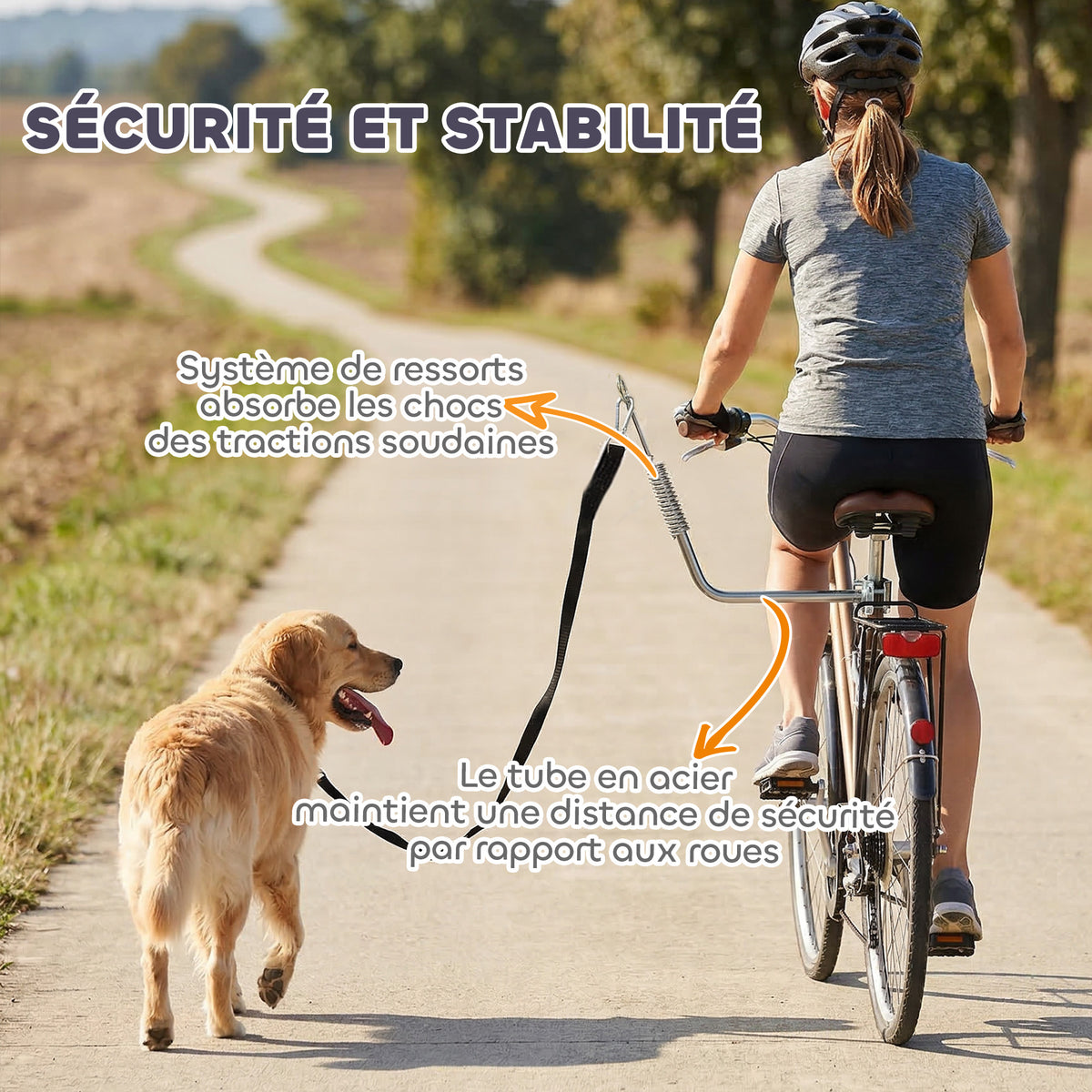 Laisse de Vélo pour Chien 180 cm en Inox , Fixation Rapide, Ressort Amortisseur, Sangle Ajustable, Argent