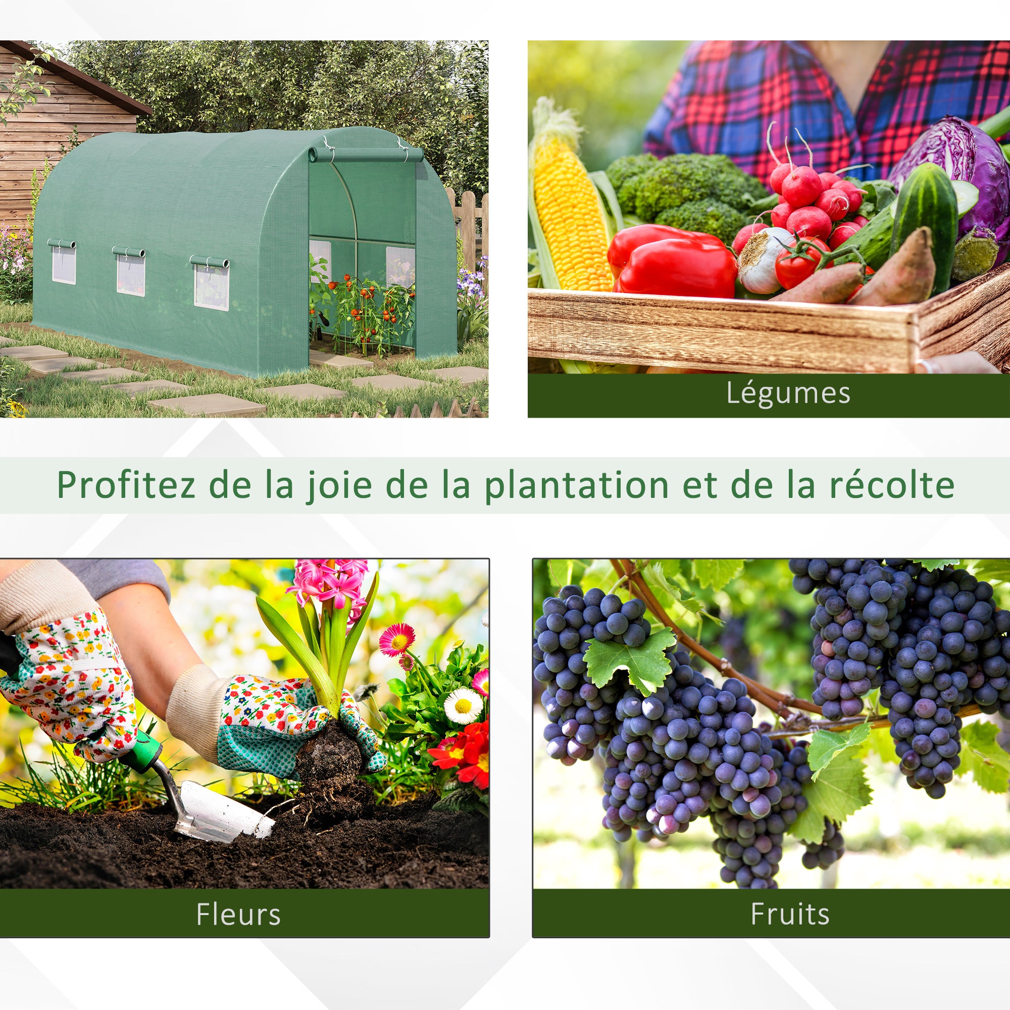 Texte alternatif de l'image