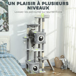 Arbre à chat tour de jeux pour chats centre d'activités 2 niches plateformes hamac échelle et 4 pompons 165 cm gris