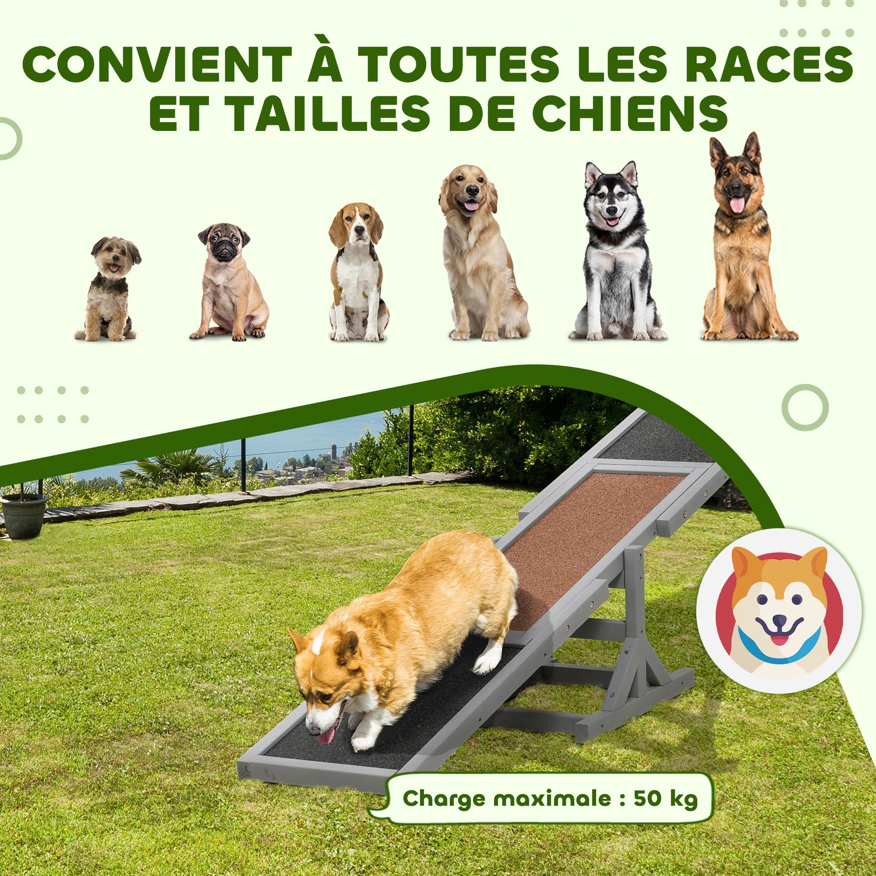 Agility sport pour chien bascule équipement entrainement chien bois sapin pré-huilé feutre bitumé antidérapant gris noir