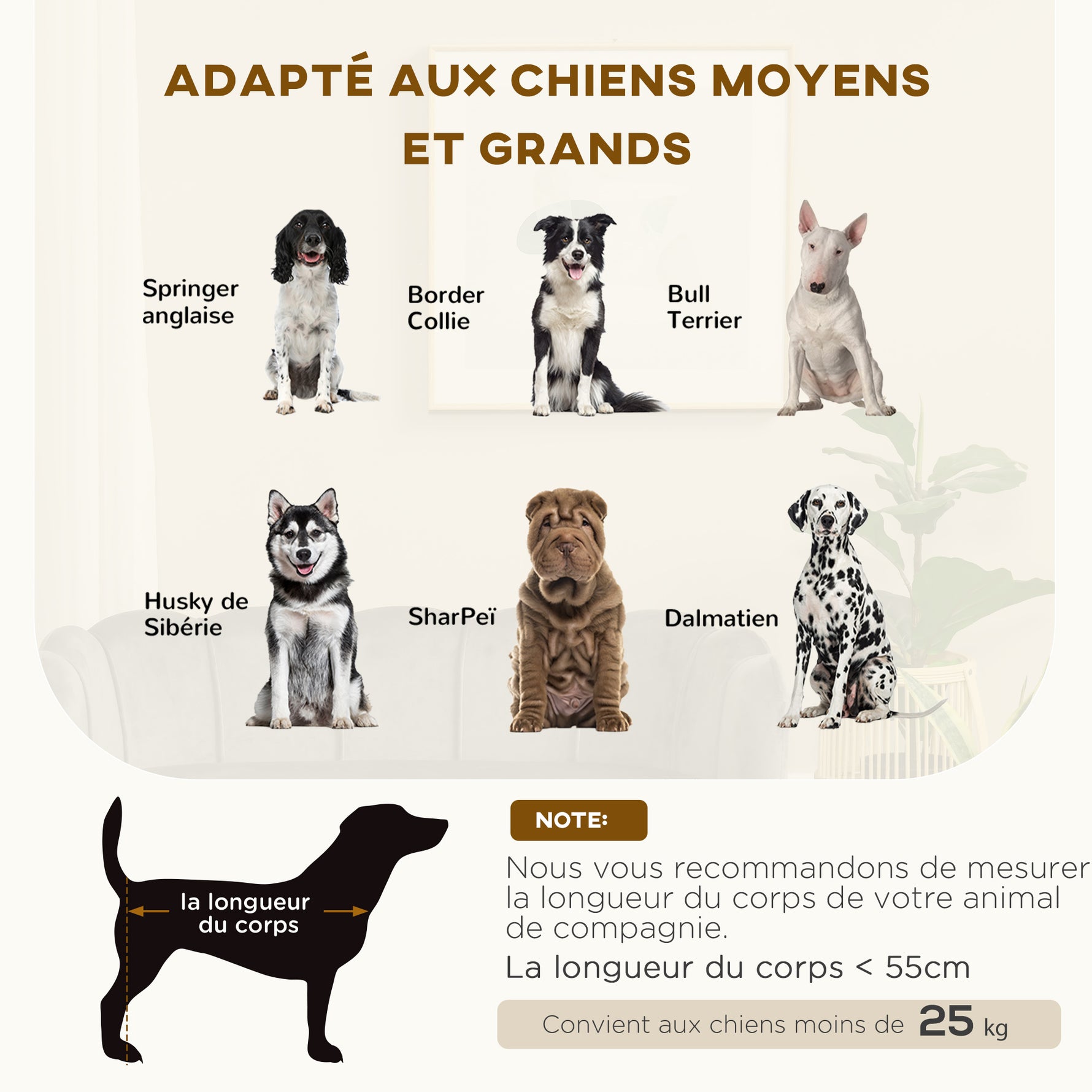 Canapé chien lit pour chien chat coquillage 98L x 60l x 35H cm coussin moelleux velours gris