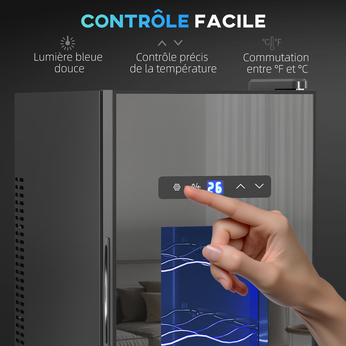 Cave à vin 12 bouteille 30L thermoélectrique double et silencieux avec porte en verre, LED, écran numérique, noir