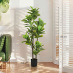 Lot de 2 plantes artificielles intérieures 150 cm, fausse plante à figuier lyre avec pot en ciment, vert