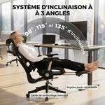 Ergonomic Office Chair, Reclining Mesh Desk Chair, Lumbar Support, 4D Armrests, Black