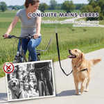 Laisse de Vélo pour Chien 180 cm en Inox , Fixation Rapide, Ressort Amortisseur, Sangle Ajustable, Argent