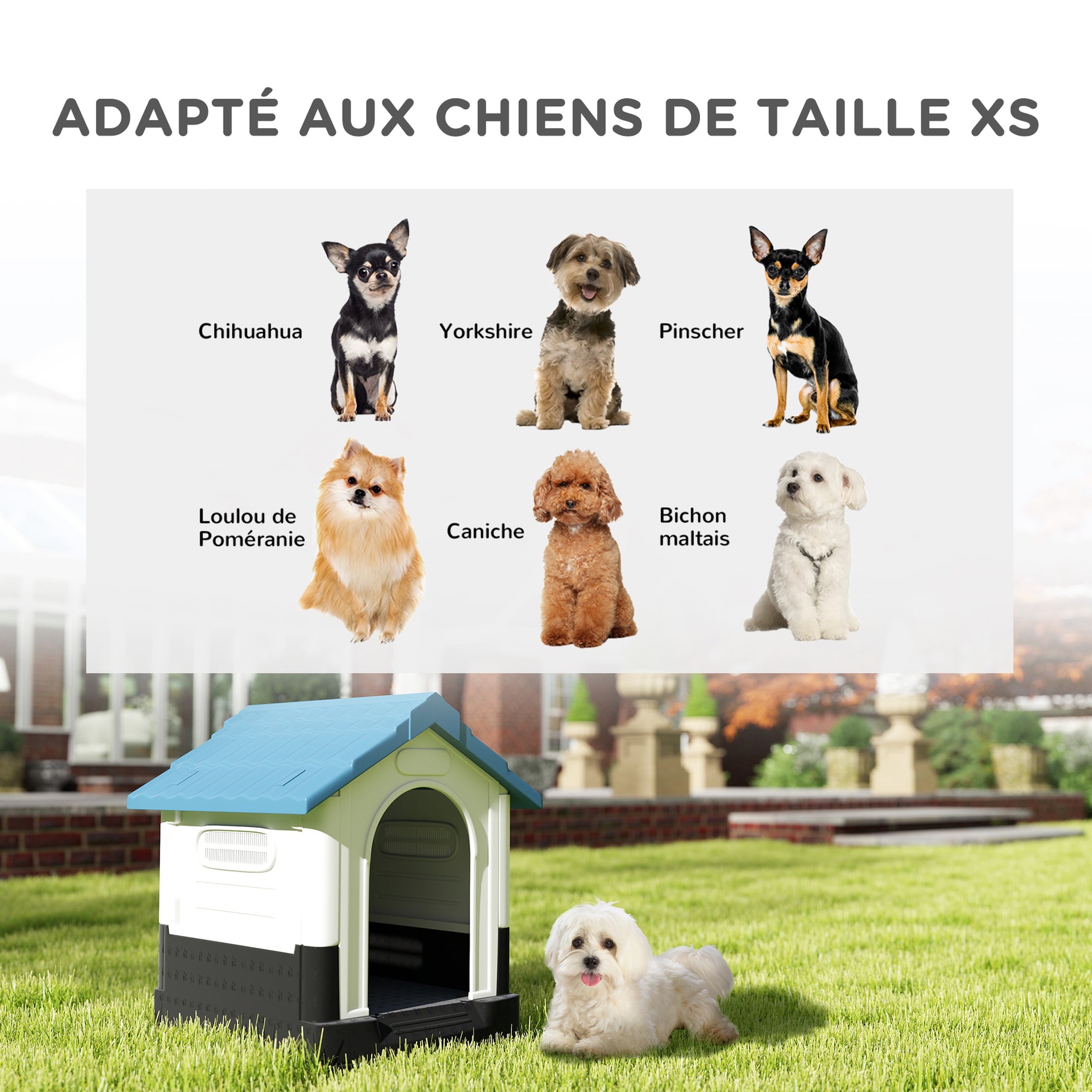 Niche pour chien chenil à l'extérieur pour chiens de petite et moyenne taille 64,5 x 57 x 66 cm blanc et bleu